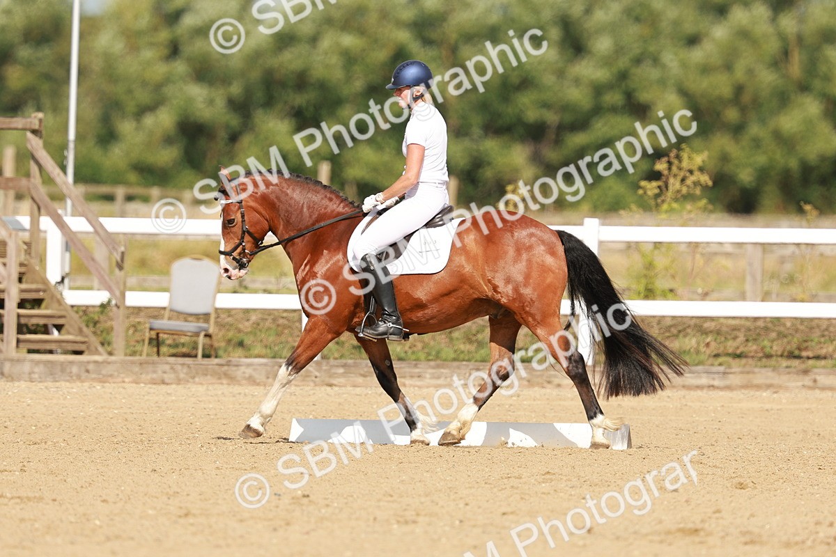 SBM_021326 - Class 13 - N5