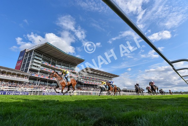 220825-Race 5-Cape Flora-9471 - Race 5 4.10pm Assured Data Protection EBF Fillies' Handicap