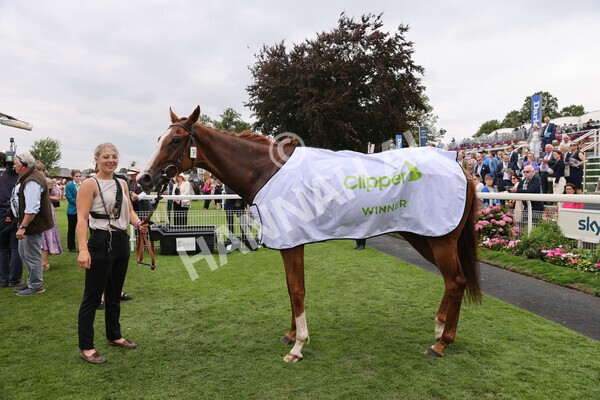 yr18082022r3-62 - Race 3 3.00pm Clipper Logistics Stakes