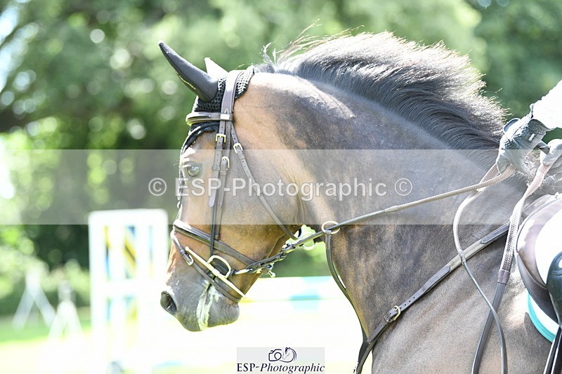 250703A-110005-00610 - Cls 11 5 Year Old