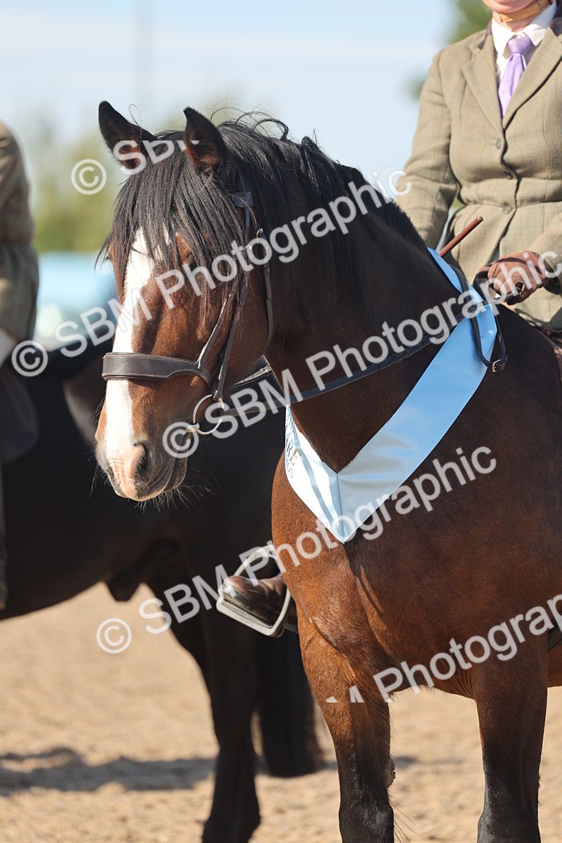 SBM_12433 - Class 304 - Ridden part Bred Horse Pony