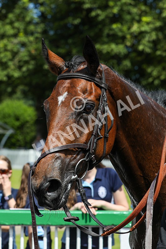 240624-Race 1-Island Of Skye-0065 - Race 1