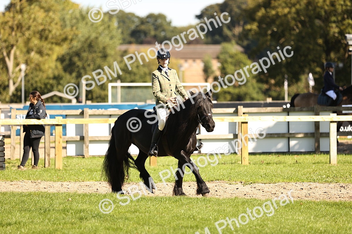 SBM_19138 - S3 - TSR Ridden Pony Showing