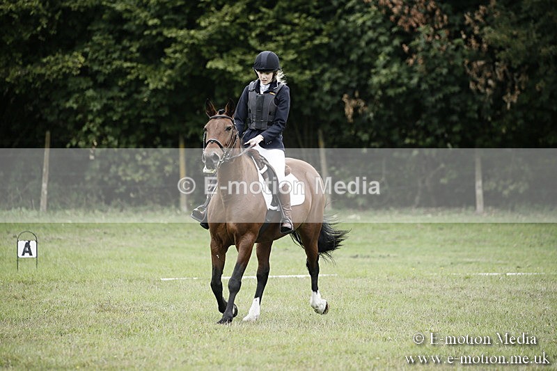 BVR080918 25 - BVRC Novice Dressage & CR 08/09/18