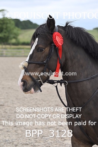 BPP_3128 - CLASS 9 Pony Newcomers/ 1m Open