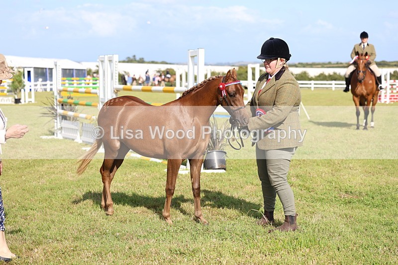 3E7A3892 - Supreme Championship