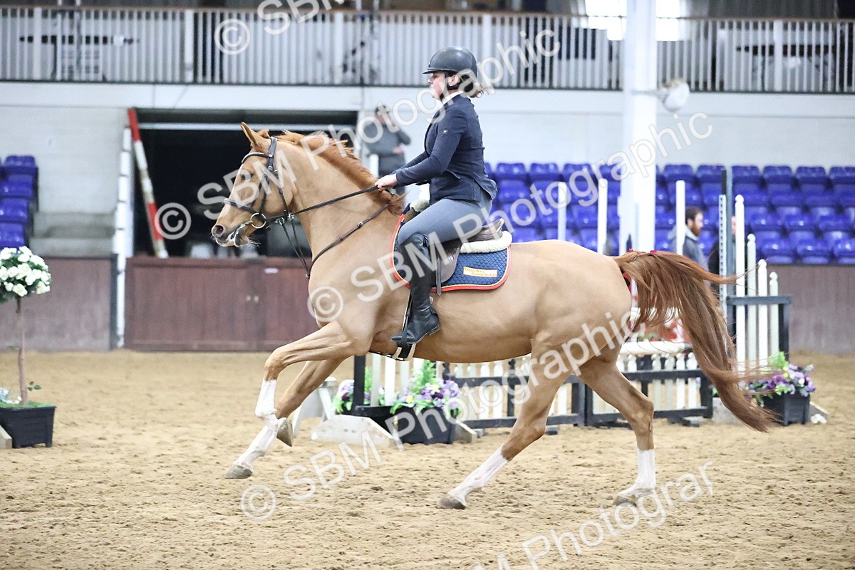 SBM_001326 - Class 8 - Senior British Novice - 90cm