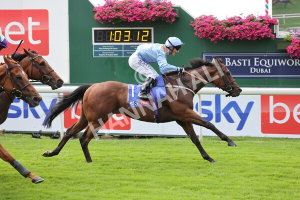 yr18082021r1-66 - Race 1 1.50pm Sky Bet & Symphony Group Stakes