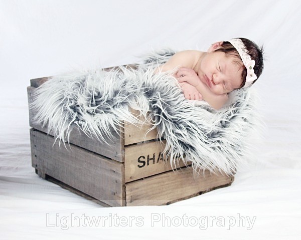  - Baby Harper