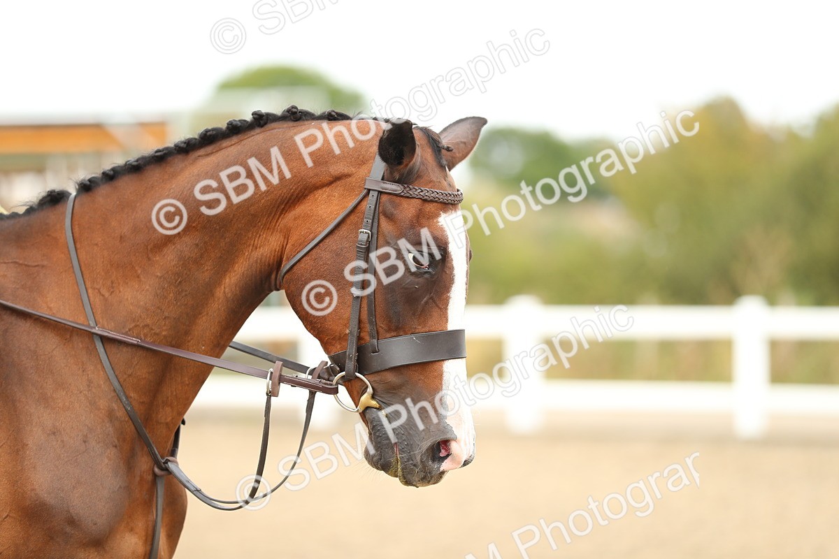 SBM_05218 - Class 47b Style & Performance 60cm (20+)