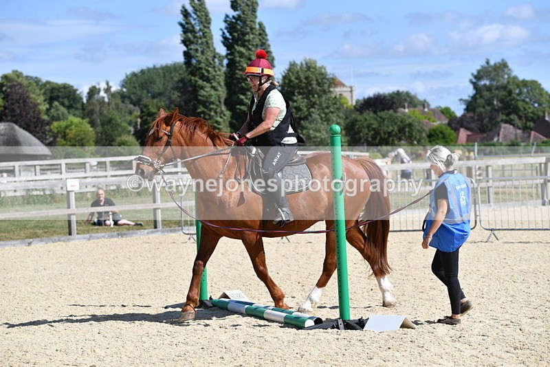 WJ5_5005 - Poles on the Floor