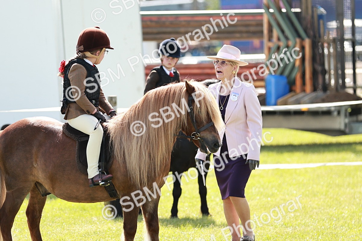 SBM_12757 - Class 106-107 - BSPS LIHS Working Sports Pony