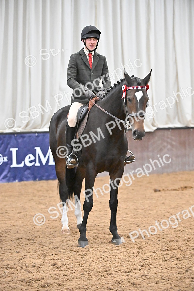 SBM_002359 - Class 22 - BSHA Ridden Hack & Riding Horse