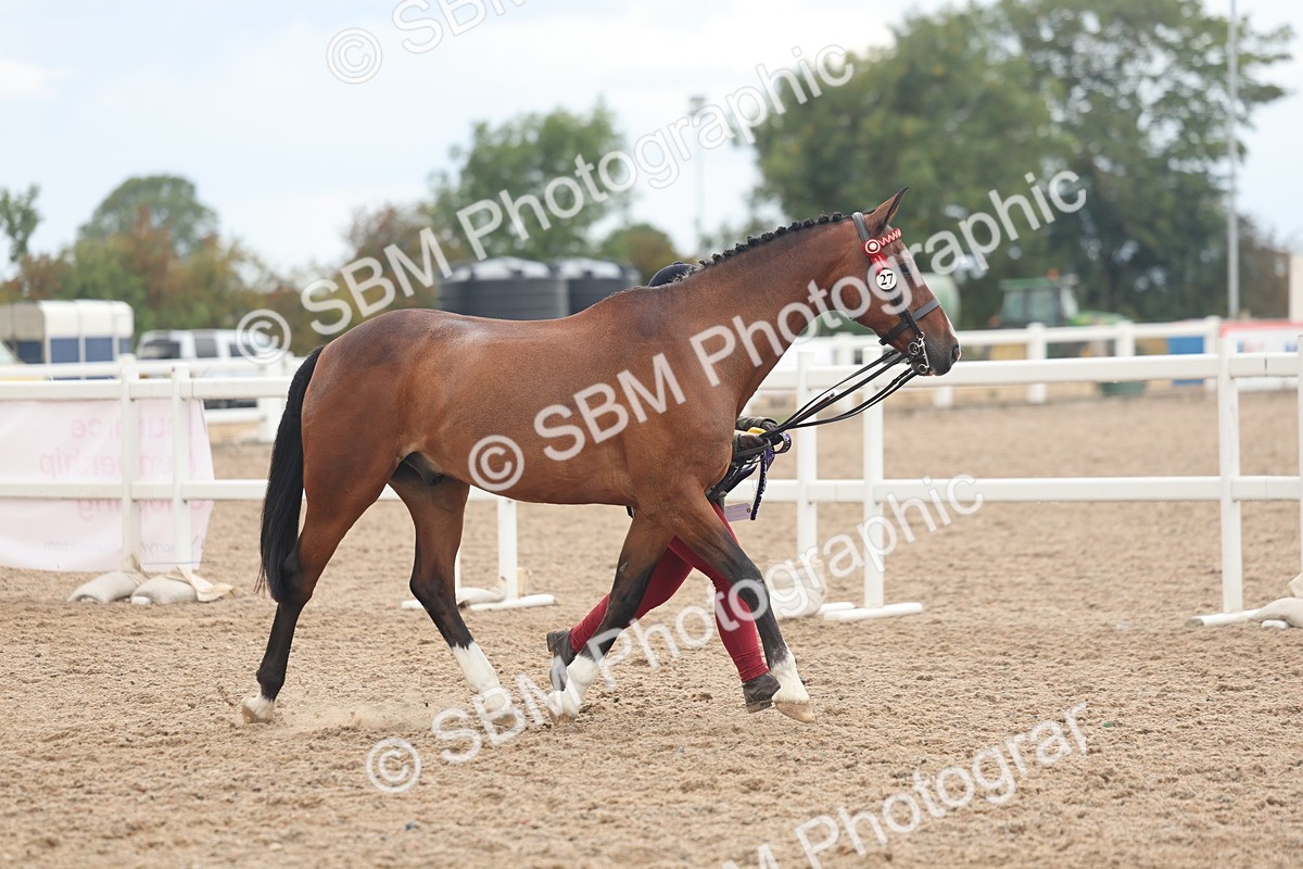 SBM_07846 - Class 27 - IH Competition Horse/Pony