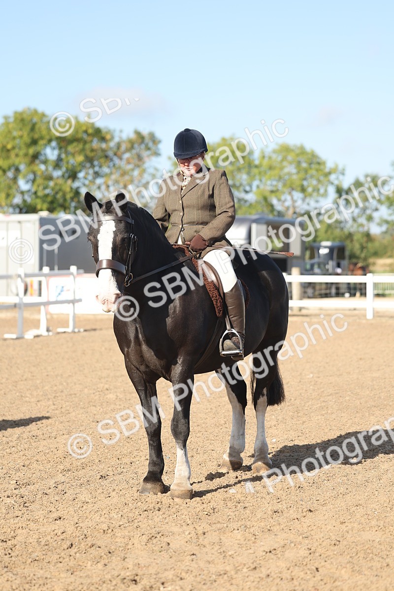 SBM_22207 - Class 802 - Ridden Groom Helpers Class