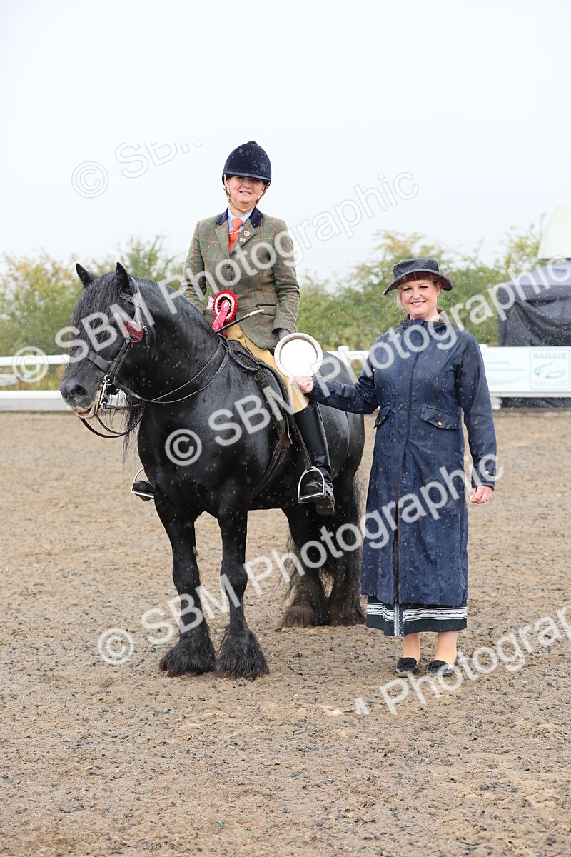 SBM_20630 - Class 804 - Ridden Veteran Pony