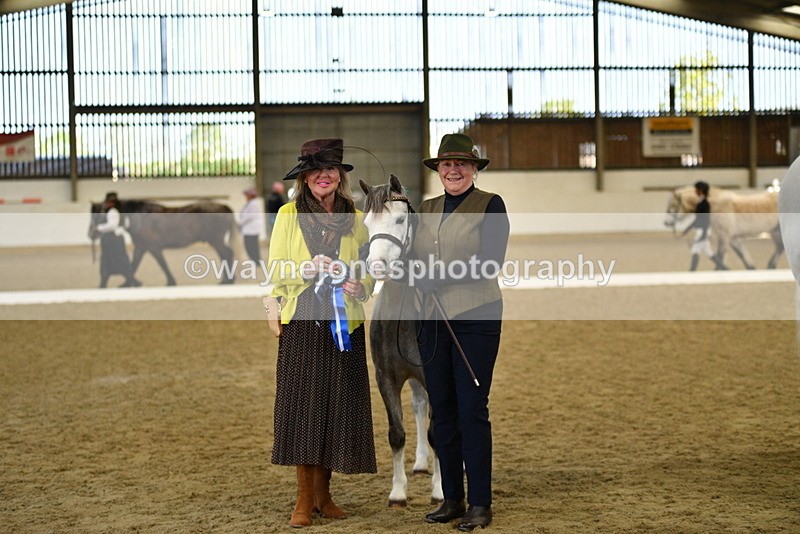 WJ5_4112 - Class 2 Best Condition In hand