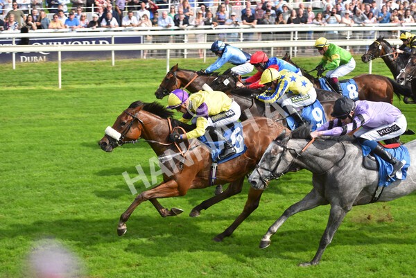 yr05092021r2-32 - Race 2 2.40pm John and Judith Marshall Memorial Stakes