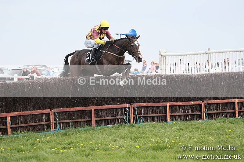 PtP 210418 192 - South & West Wilts Point-to-Point Larkhill 21/04/18