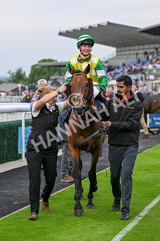 160626-Race 3-Langholm-4531 - Race 3 19.30pm Biffa North Handicap