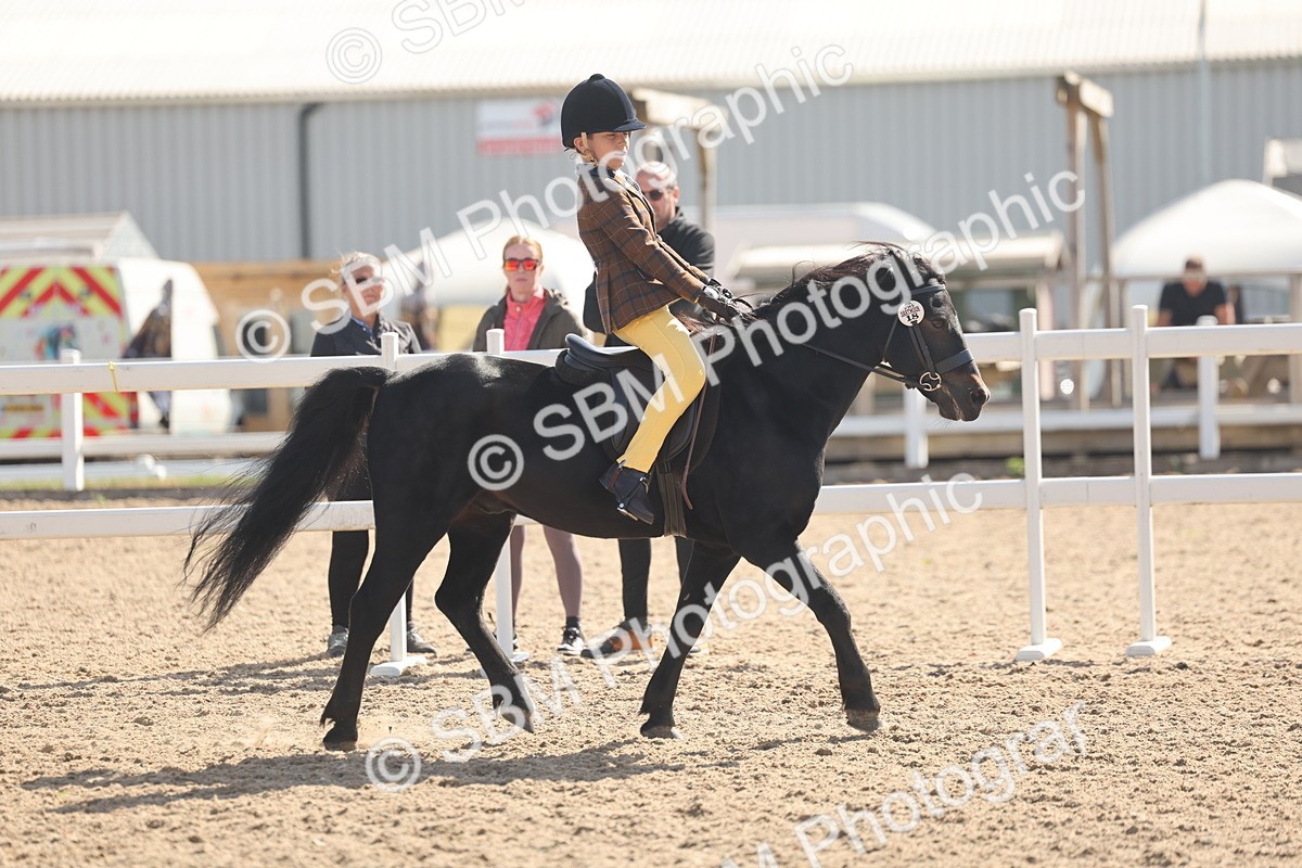 SBM_23085 - Class 806 - Young Rider 10ry and Under