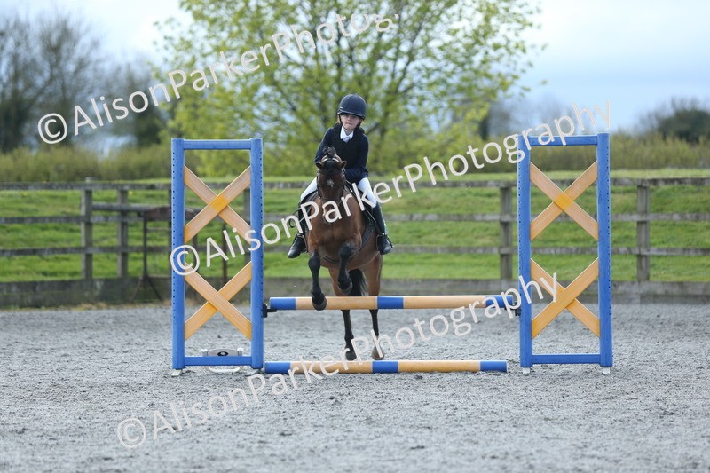 20260412-1793 - Show Jumping