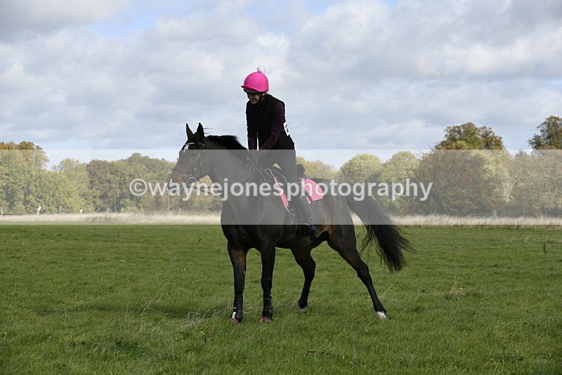 _DSC6892 - Time 11:23 to 12:05