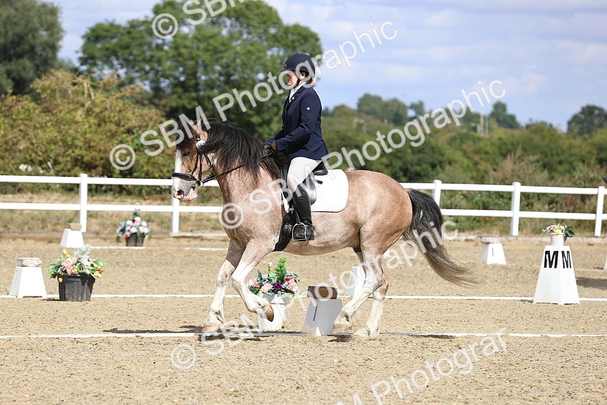 SBM_014570 - Class 5 - E5 Bronze 13.30.14.18