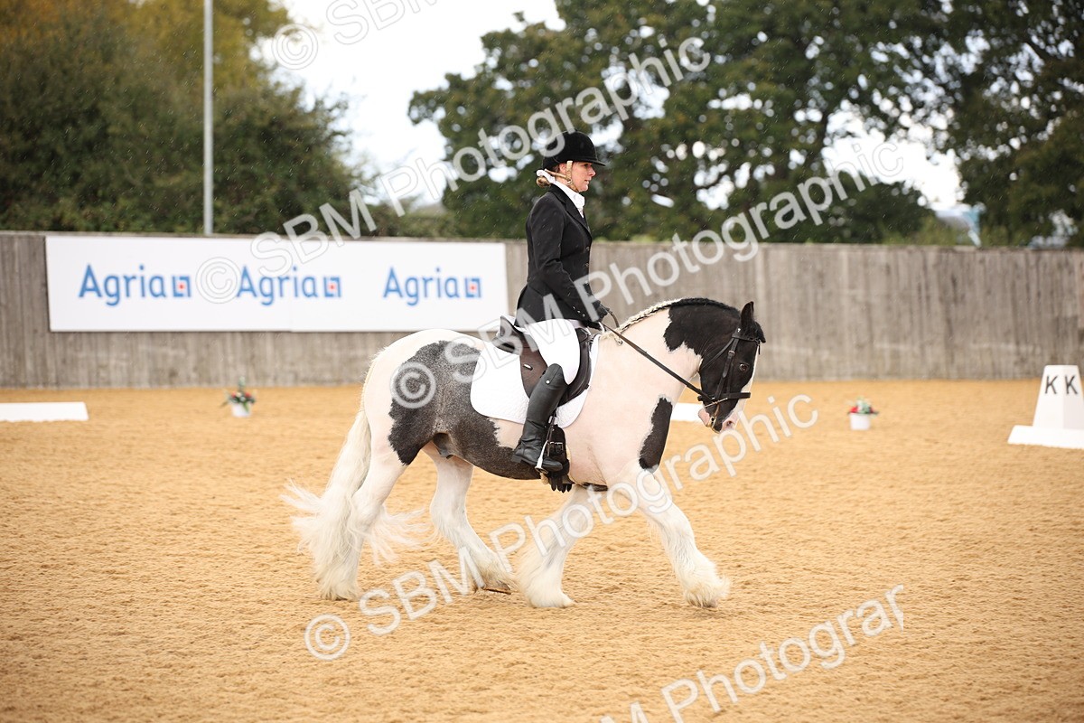 SBM_08927 - D8 Small Tour Championship Prelim 7