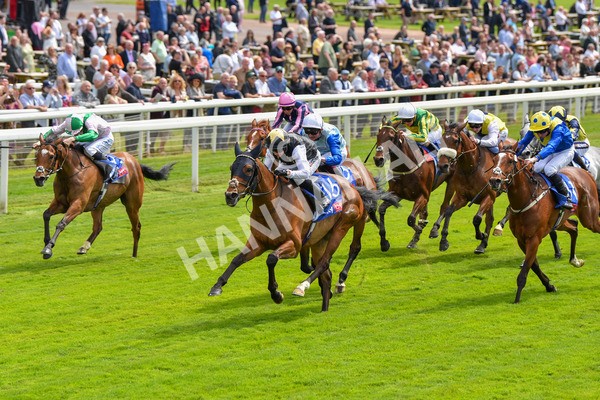 170523-Race 1-Scampi-8572 - Race 1 1.50pm Sky Bet Race To The Ebor Jorvik Handicap
