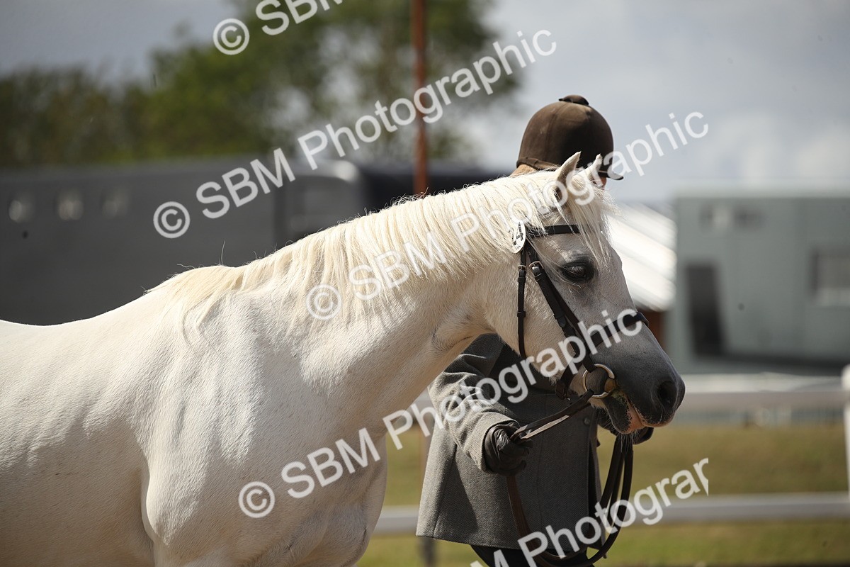 SBM_23513 - Class 605 - 2026 - Area - IH Veteran