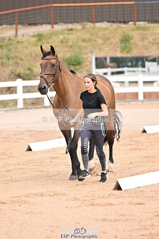 250716-150731-01651 - Trot Up 2.30 to 3.30