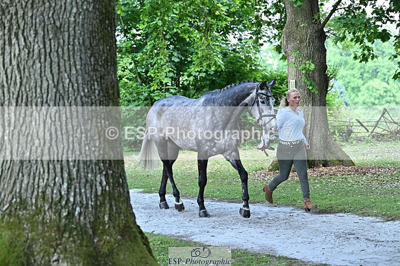 250521A-160639-00918 - C-268-Lucy.Stimson-RUSTINO