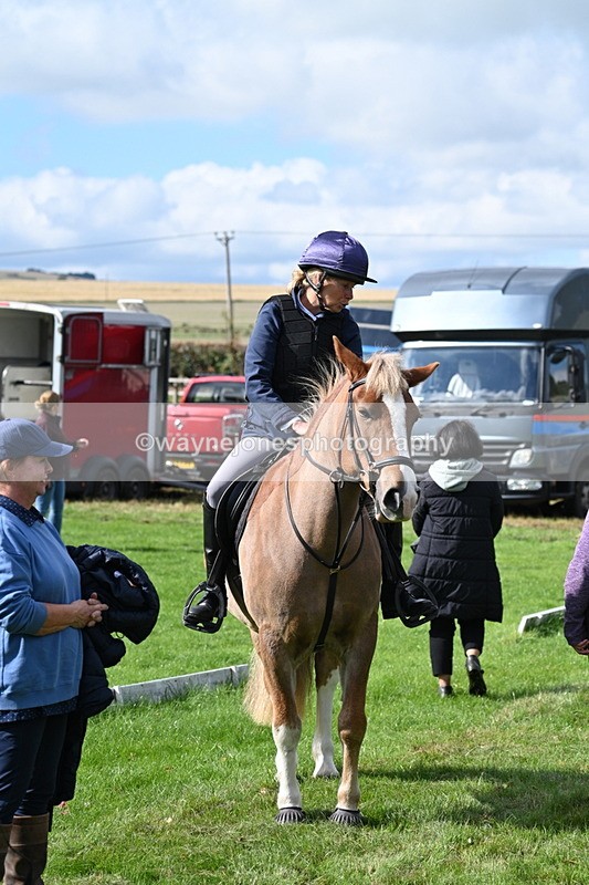 WJ7_5161 - Meet