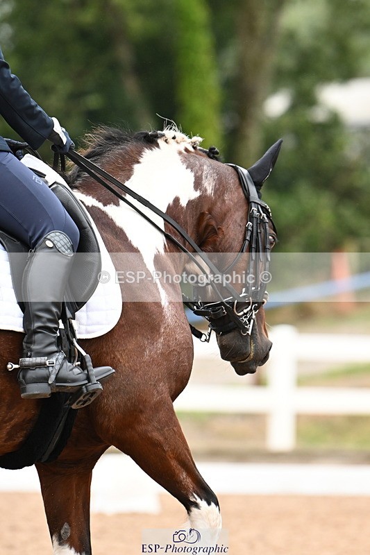 240815A-102358-00590 - 138-Philippa.Williams-Pocahontas.lV