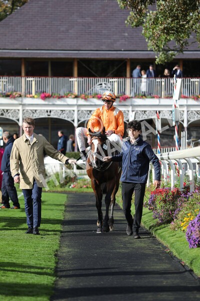 yr07102022r3-39 - Race 3 3.15pm British EBF £100,000 2yo Series Final (Colts and Geldings)