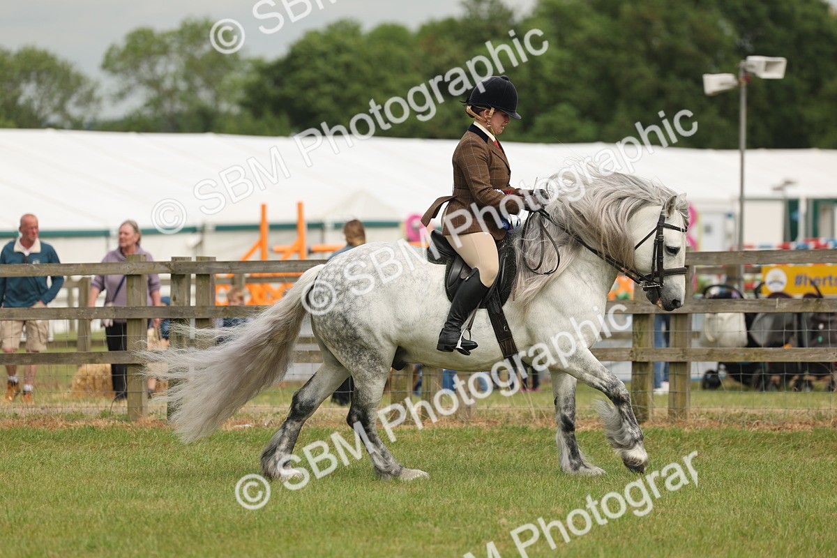 SBM_09165 - Class 78-80 - Ridden M&M Non Welsh Ponies