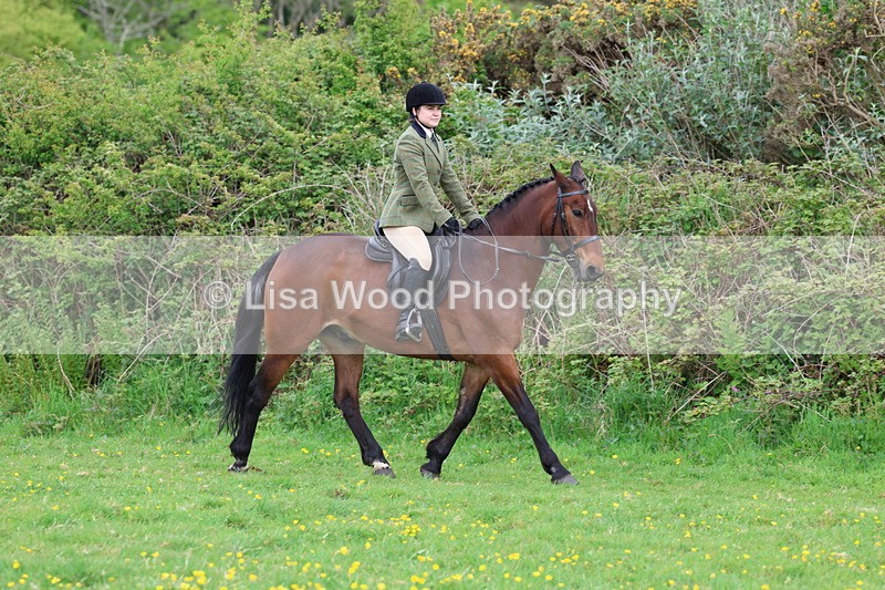 3E7A1414 - Class 8: Ridden Veteran Junoir and Senior