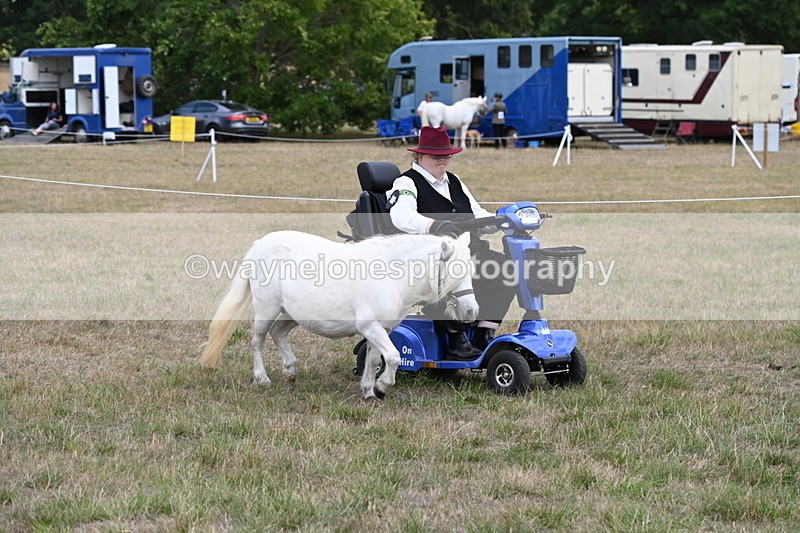 WJ6_6004 - Class 19 In-hand Veterans (Uploaded correct folder)
