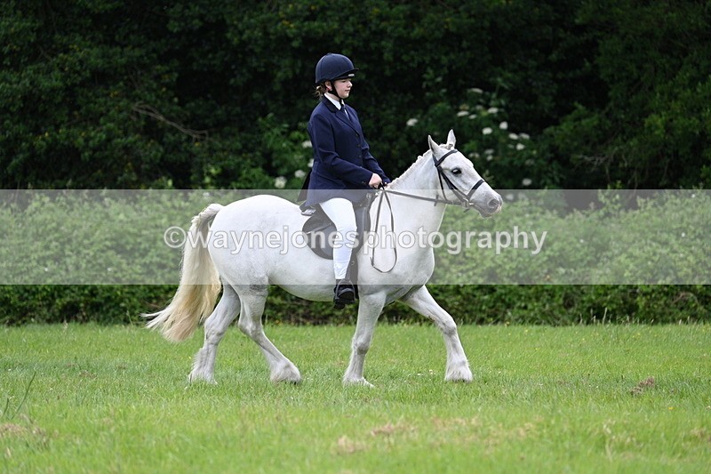 WJ7_2598 - Class 12A Coloured Class
