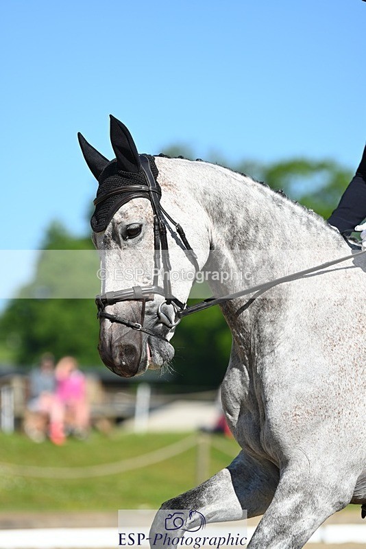 230526-092259-05436 - 454-COOLEY_ROSALENT-Oliver_Townend-DR