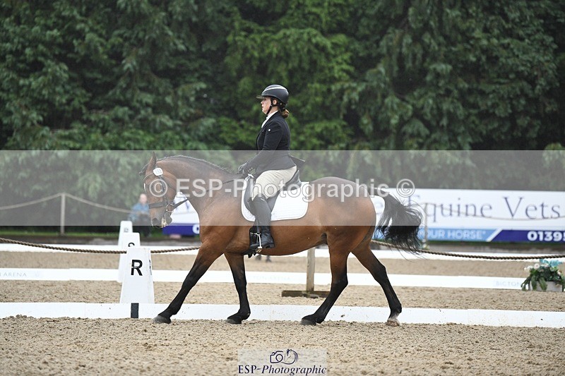 240720-110034-04147 - 196-Paula_Tippett-North_Country_Knight