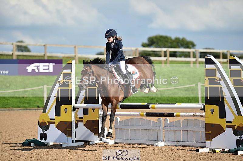 230902A-154306-02001 - Cls 4A Pony Big 95cm