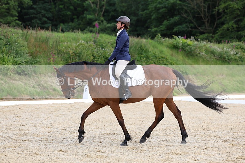 3E7A1585 - Class 2: Intro 2 2024 Section B