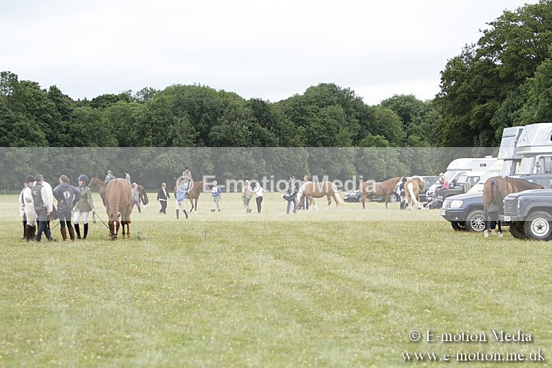 BVR160717-1272 - Caught on Camera 16/07/17