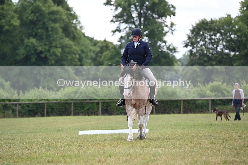 WJ6_7453 - Time 12:25 to 12:56