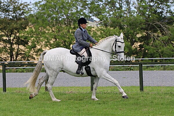 SIAL7386 - Ring 1 & 3