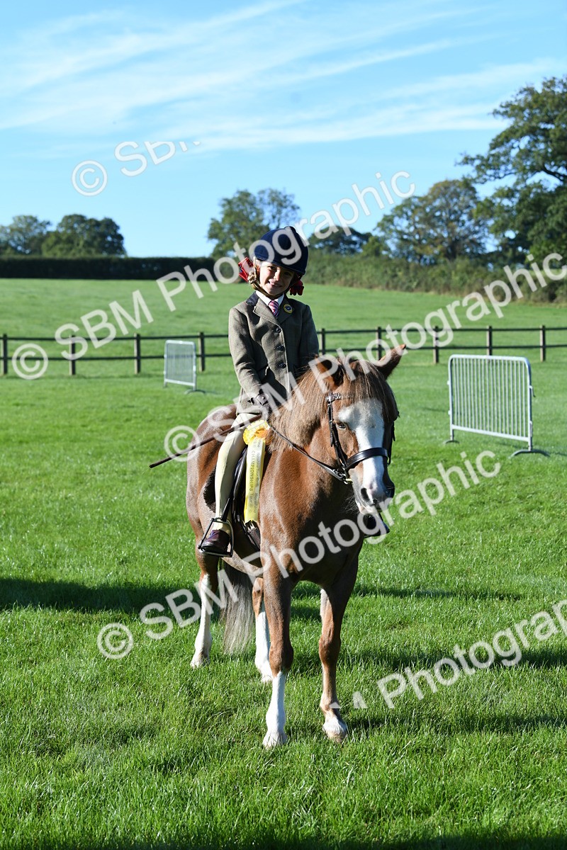 SBM_34128 - S16 - Condition & Turnout - Ridden