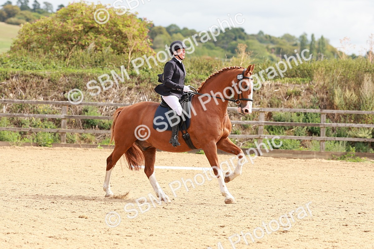 SBM_001344 - Prelim 2