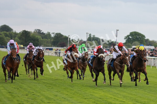 yr21052022r1-23 - Race 1: 1:40pm William Hill Play Responsibly Stakes